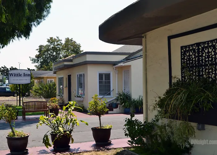 Wittle Motel